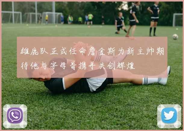 雄鹿队正式任命詹金斯为新主帅期待他与字母哥携手共创辉煌